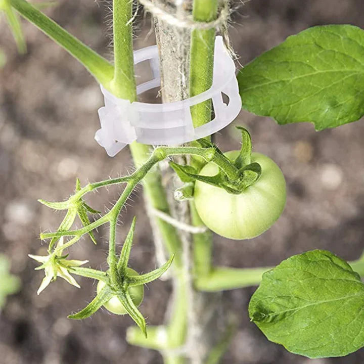 PlantBuddy™ Stängelstabilisatoren für den Garten | Vorübergehend 50% Rabatt