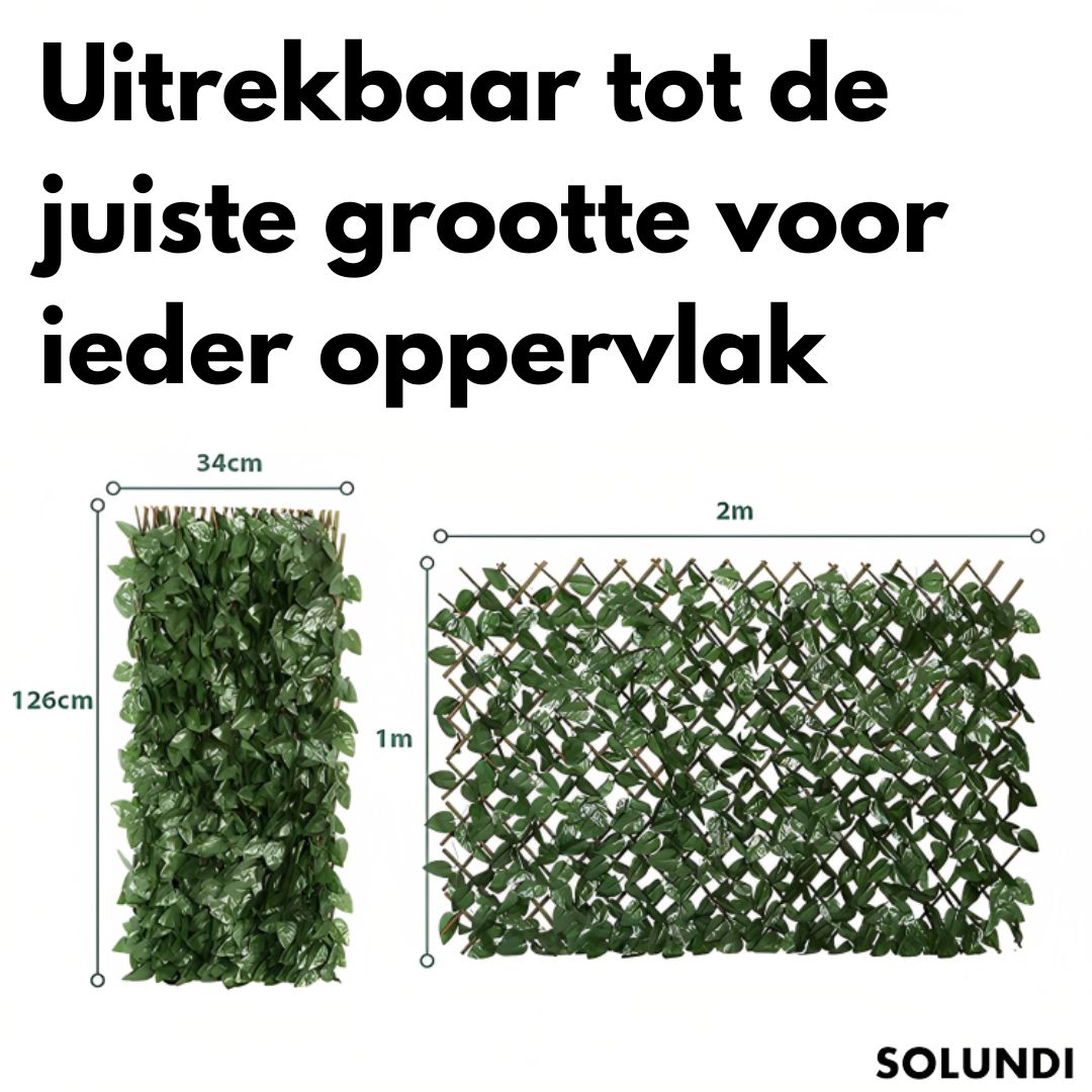 1+1 Gratis! GardenWall™ Lassen Sie Ihren Garten erstrahlen