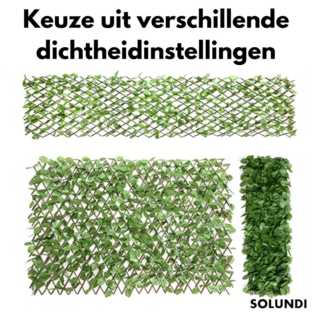 1+1 Gratis! GardenWall™ Lassen Sie Ihren Garten erstrahlen