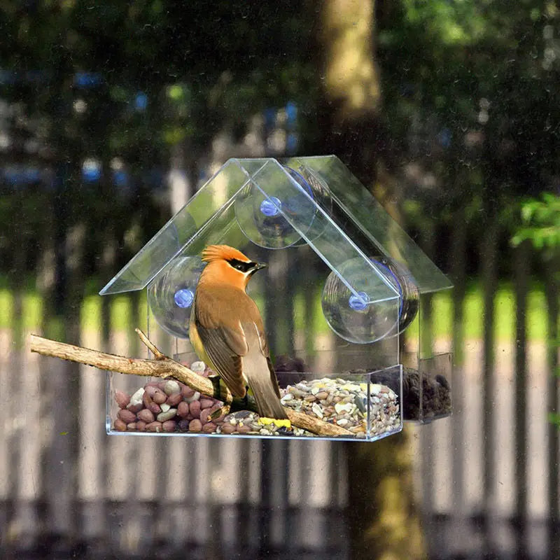 VistaChirp™ - Genieße ein Stück Natur in deiner Komfortzone.