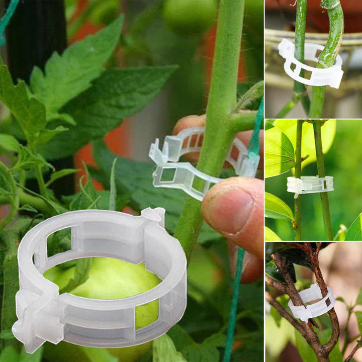 PlantBuddy™ Stängelstabilisatoren für den Garten | Vorübergehend 50% Rabatt